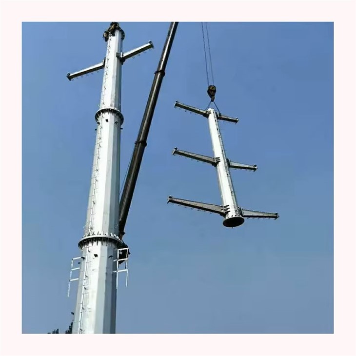 Pipe Frame Buildings